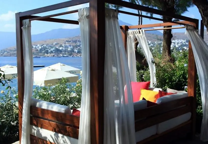 No81 Hotel Golturkbuku Turkey